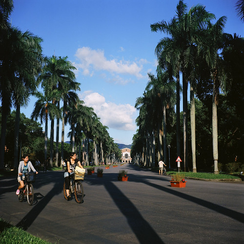 椰林大道 - National Taiwan University.