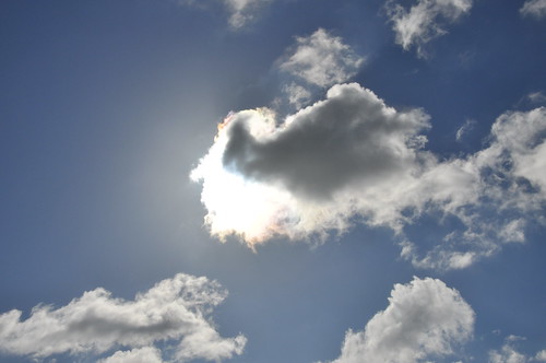 A Sunny Cloud