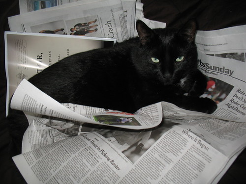 Haruki and the Sunday New York Times (2)