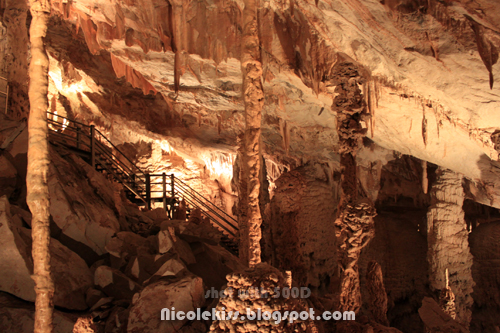 beautiful long stalactites