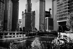 2010-10-16 Chicago River Front