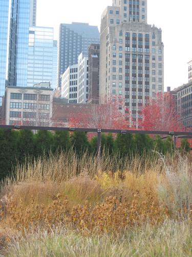 Millennium Park, Chicago. Fall 2010-14