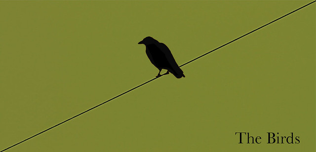 Image of minimalistc The Birds poster
