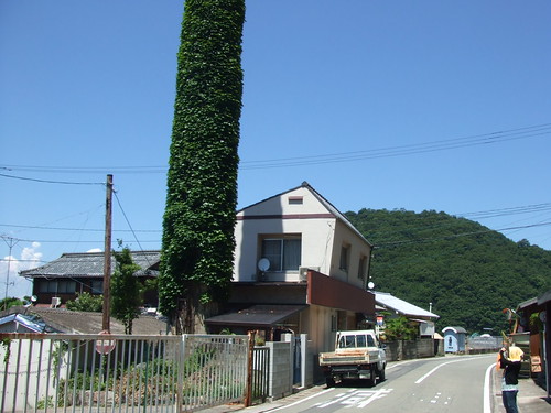 大崎上島 町の風景 写真2