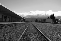 Kiwi Railway