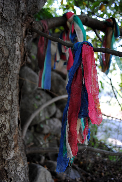 In a couple of places, prayer rags had been tied to branches