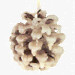 Pine Cone Candle by Mabel White