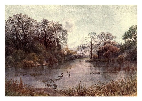 004-El lago-Kew gardens 1908- Martin T. Mower