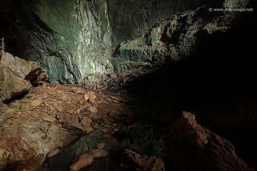 Deer cave