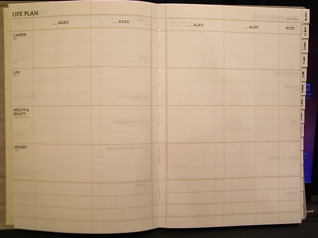 mark's diary 2011