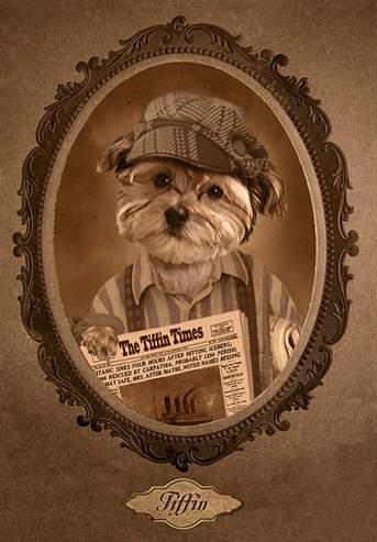 victorian dog portrait - 1