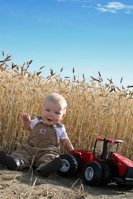 Braden in the Wheat Field