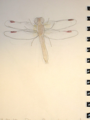 Dragonfly by Me