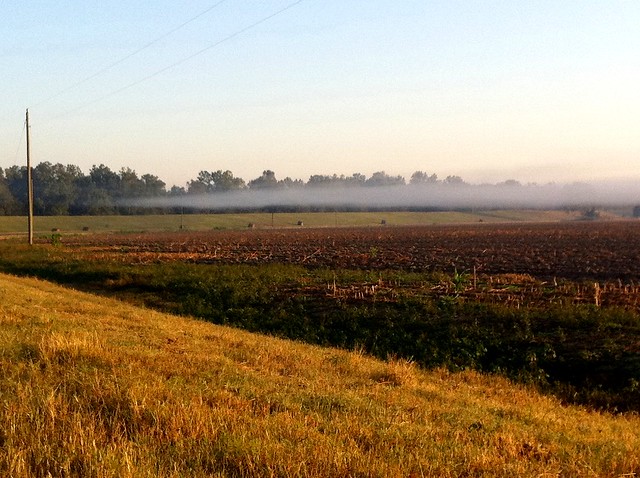 Mist rising over the fields