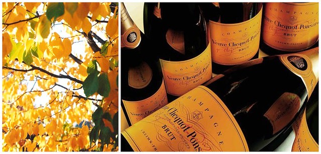 Veuve Clicquot Yellow : The Color of Fall