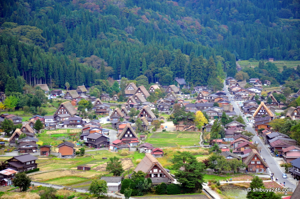 The town of Shirakawago