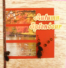 Autumn Splendour IRL