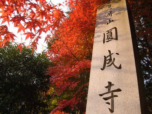浄土式庭園に広がる見事な紅葉『円成寺』＠奈良市