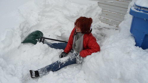 Cinnamon falls while shoveling - Chicago Blizzard 2011