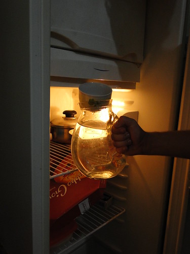 2011-02-02  jarra com água e xícara (3)