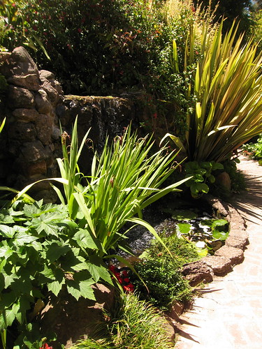Water feature near the patio at the back of the house.