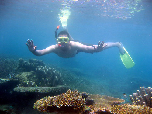 hery under the sea