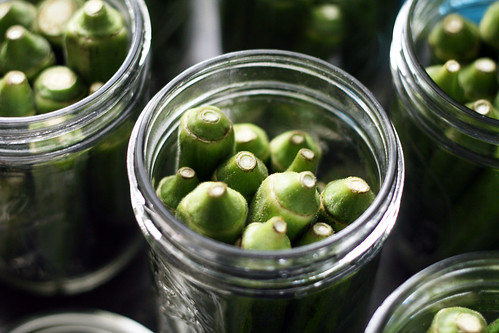 Recipes canning pickled okra