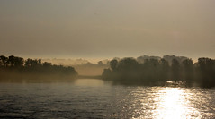 Fog on the River