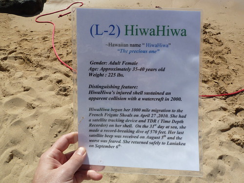 Info sheet on HiwaHiwa