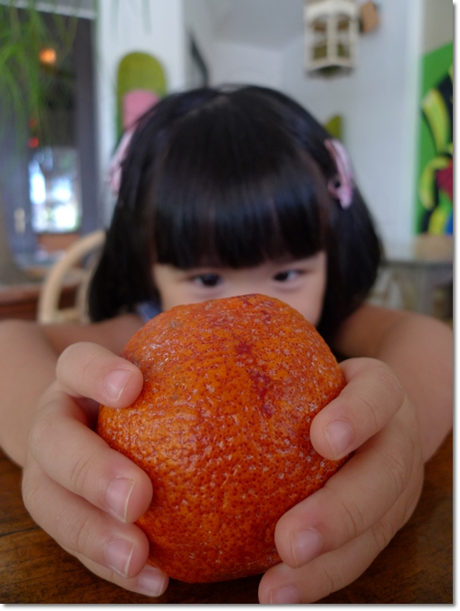Cute Kid holding a Blood Orange