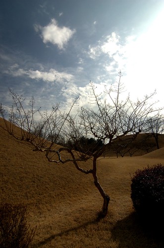 慶州 大陵苑 The Tumuli Park, Gyeongju