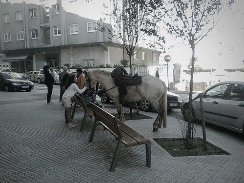 Un caballo en la ciudad