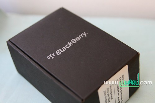 BlackBerry Curve 9300 001