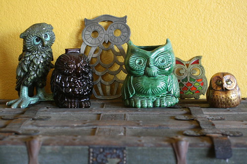 owl collection.