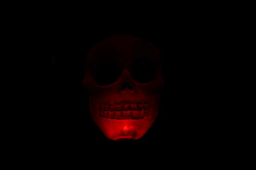 LDP 2010.10.19 - Red Plastic Skull