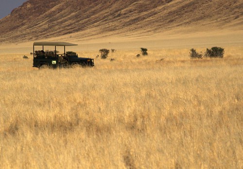 The reserves in natural of Namibia