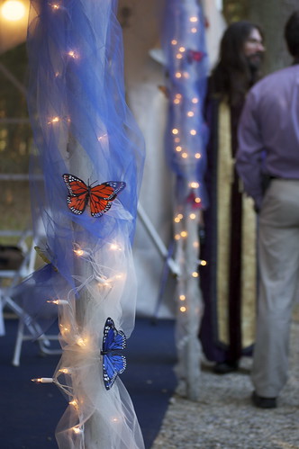 Matt Katherine's Wedding butterfly decorations Butterfly wedding themes