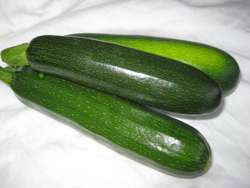 First Harvest - Organic Zucchinis