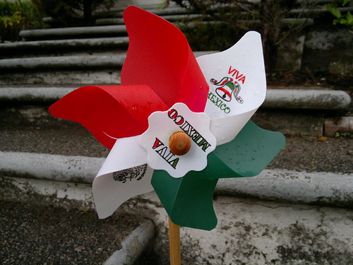 Mexican Independece Bicentennial home decorations