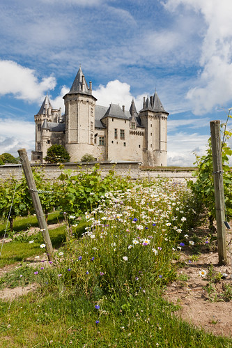 The Castle at Saumur on Flickr
