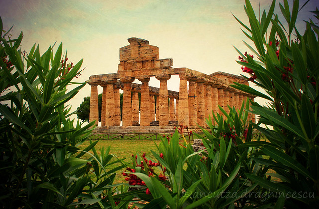 foto dei templi di Paestum in Campania italia