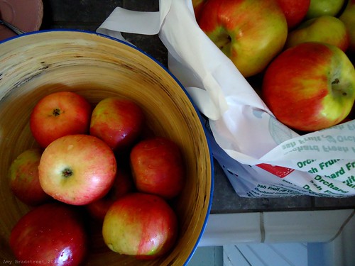 lots of organic apples