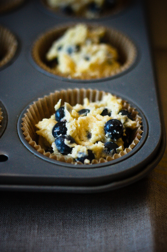 Blueberry cornmeal muffins in tin 2 (1 of 1)