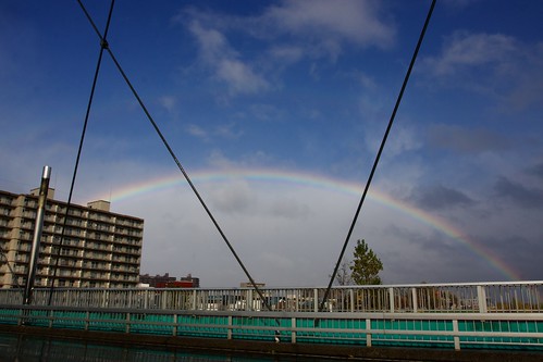 橋から見上げた虹の架け橋
