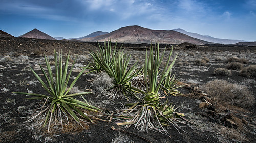 Lanzarote Landscape ©  kuhnmi