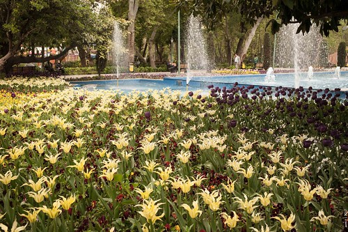 Flowers and fountains - 2 ©  Evgeniy Isaev
