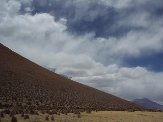 Salar de Surire Natural Monument, Arica y Parinacota Region, Chile (2007). The name Surire comes from the word "suri" or ñandú, a species of Chilean ostrich.