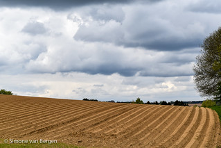 Nicely Ploughed Field