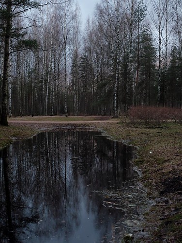 Twilight in a flooded park ©  svofski