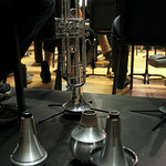Trumpet and trumpet mutes.